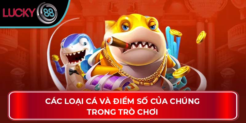 Các loại cá và điểm số của chúng trong trò chơi